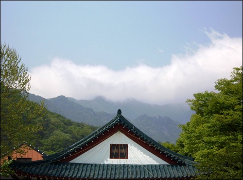 동학사 입구에서 바라본 구름덮인 계룡산 